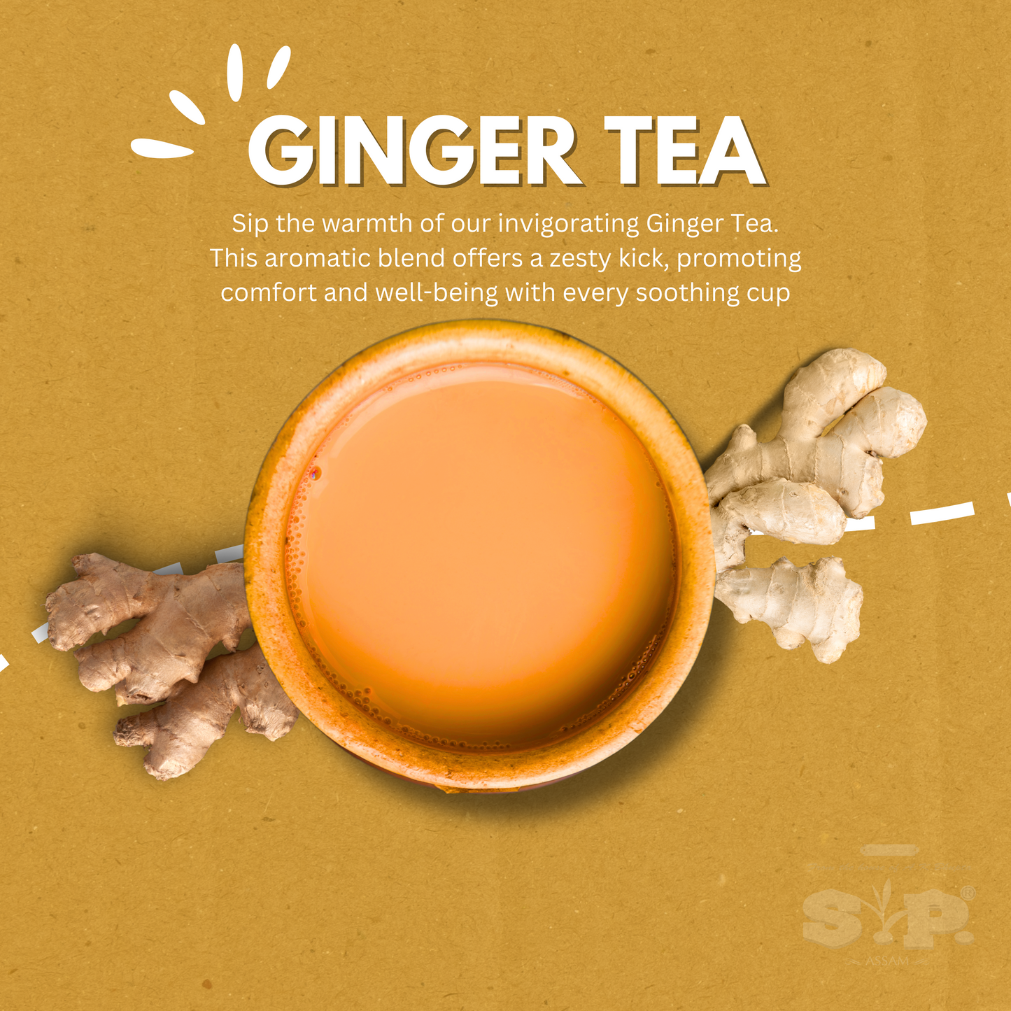 S.P Ginger Chai | Natural Adhrak Tea | 100% Organic Ginger | Asli Adhrak Chai | 100% Natural Tea | 250 gms Pack of 1